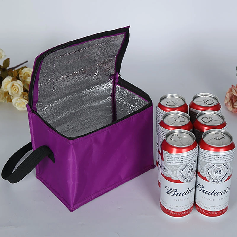 Custom 6 Pack Non Woven Insulated Thermal Lunch Cooler Bag Wholesale China Manufacture