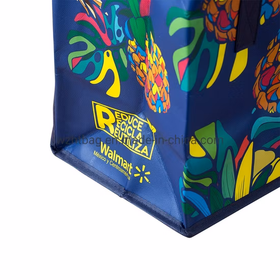 PP Non Woven Bag Factory Custom Eco Friendly Bag Waterproof Thermal Non Woven Insulated Grocery Reusable Ice Bag Shopping Bag Lunch Cooler Bag